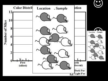 Rock Pocket Mouse Microevolution Instructional PPT by Matthew Butters