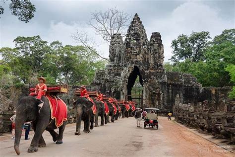 Cambodia will Stop Elephant Rides at Angkor Wat in 2020 - Cambodia Tours