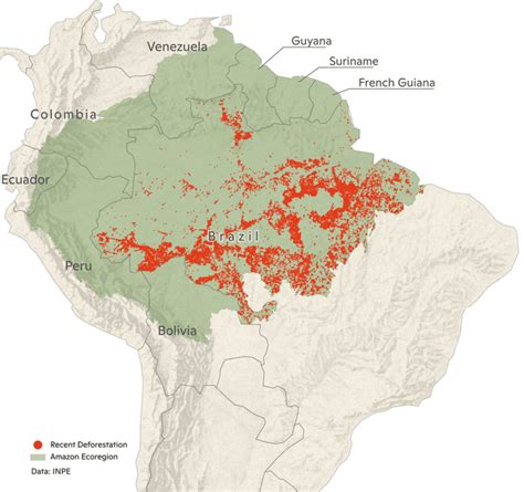 Amazon Rainforest Map Of Area