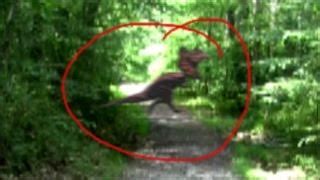 Real DINOSAUR Sightings ( All Videos From 2016) Jurassic World In Real ...