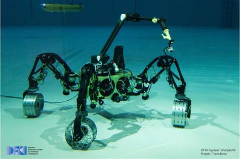 Underwater robot does not need help on the ocean floor