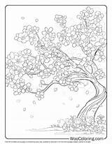 100  Tree coloring Pages Free PDF To Print Woo Coloring sketch template