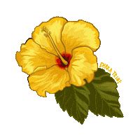 Hibiscus Flower Stickers - Find & Share on GIPHY