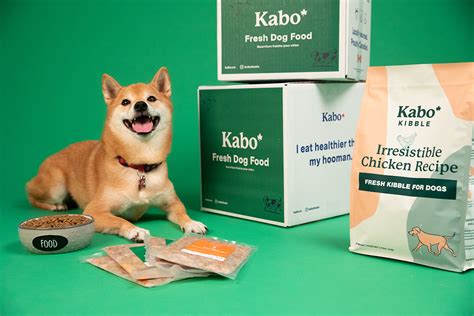 Dog Food Transition Guide I Kabo