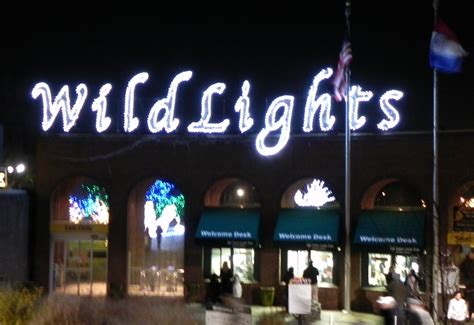 Wild Lights at the St. Louis Zoo | STL Homelife