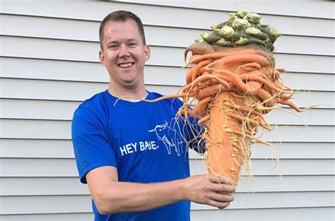 Guinness World Records: Heaviest carrot ever grown - VIDEO