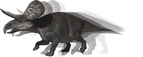 Zuniceratops | Walking With Wikis | FANDOM powered by Wikia