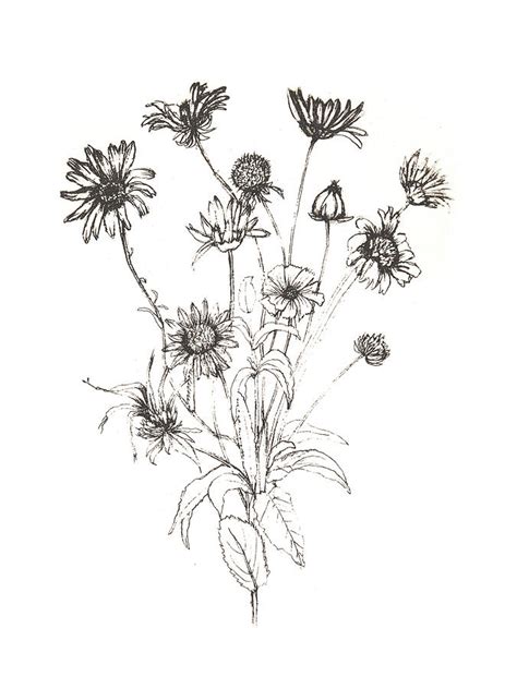 Wildflower Bouquet Sketch