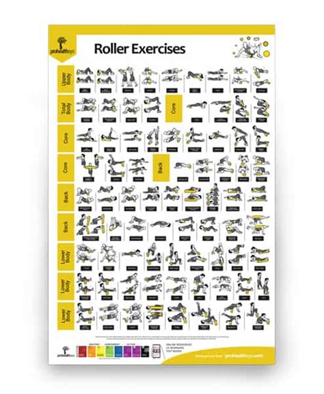 Roller Exercises Poster - Prohealthsys Canada