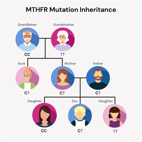 MTHFR Diet: What To Eat, What To Avoid For MTHFR Mutation