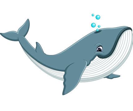 Cartoon Whale Images – Browse 131,615 Stock Photos, Vectors, and Video ...