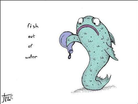 Idiom of the day: Like a Fish Out of Water -to feel completely out of place. #LearnEnglish # ...