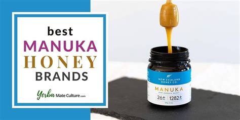 6 Best Manuka Honey Brands in 2023 Reviewed