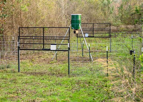 Consider costs and effort when choosing trap doors | Mississippi State University Extension Service