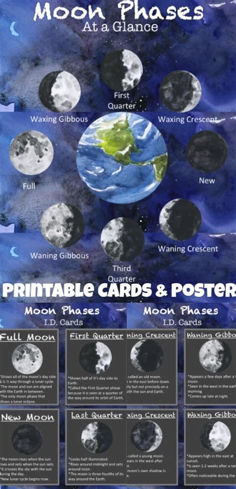 FREE Printable Moon Phases ID Cards + BONUS Poster