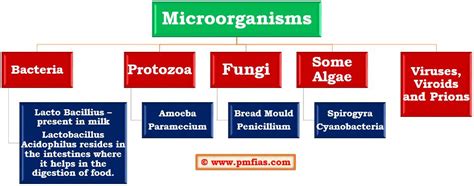 Diseases Caused by Microorganisms - PMF IAS