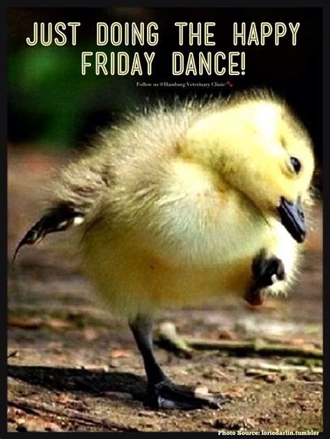 Best 25+ Friday dance ideas on Pinterest | Happy friday dance, Dancing ...