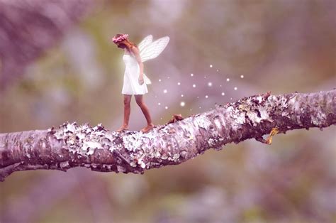 Beautiful fairy | Fairy photography, Fairy, Real fairies