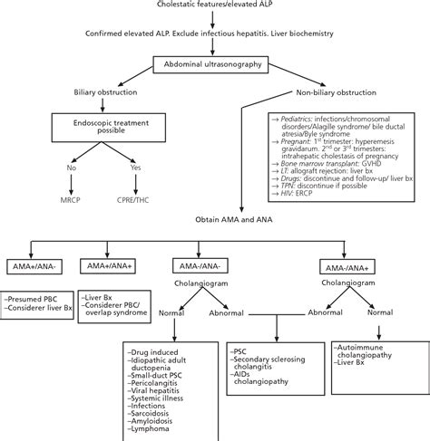 Figure 1 from Diagnostic and therapeutic approach to cholestatic liver ...