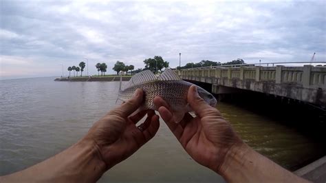 LAND OF THE PINKIE REDFISH!!! Fishing Lake Pontchartrain and the mouth ...