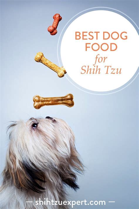 Best dog food for Shih Tzu (Buyer s Guide) What to look for when buying ...