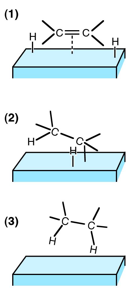 Hydrogenation | Introduction to Chemistry