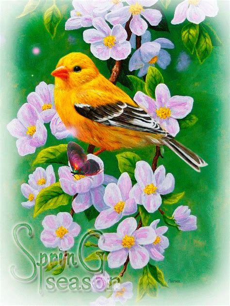 Фото, автор Тальянова Лилия на Яндекс.Фотках Birds Painting, Diy Painting, Painting & Drawing ...