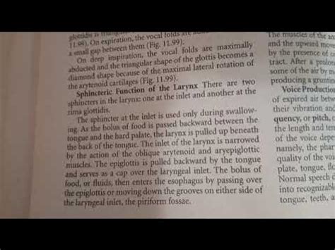 ||rima glottidis and contraction of posterior cricoarytenoid||rotation and abduction of muscles ...