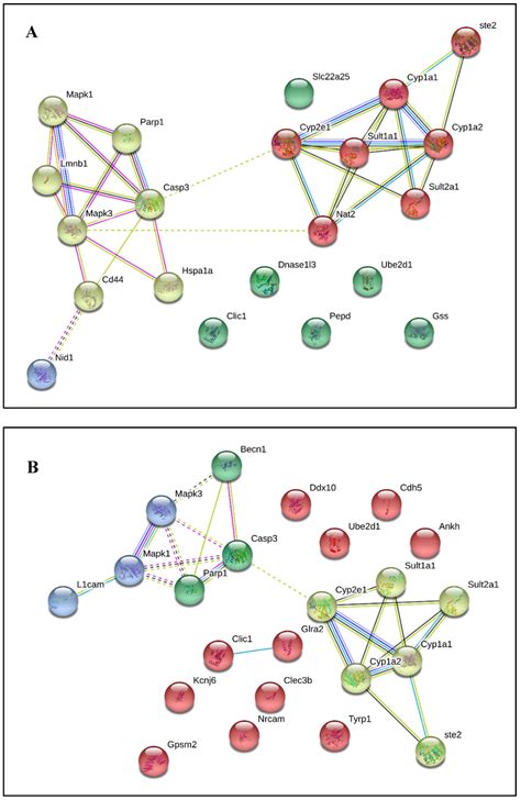 Medicines | Free Full-Text | A Review of Bioinformatics Tools to Understand Acetaminophen ...