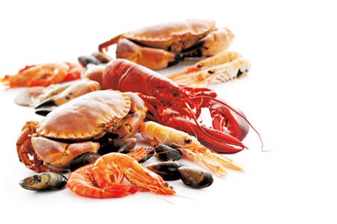 Seafood Recipes – Saturday Kitchen RecipesSaturday Kitchen Recipes