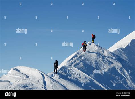 summit ridge, climbing expedition on Mt McKinley 6194m, Denali National ...