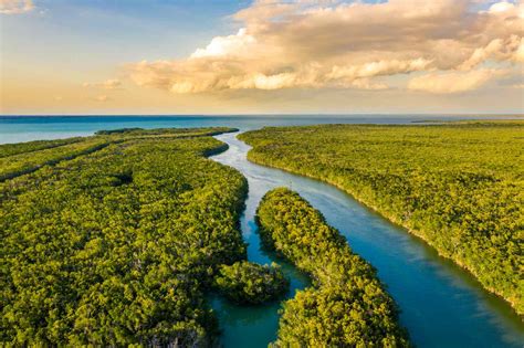 The Ultimate Guide To Everglades National Park