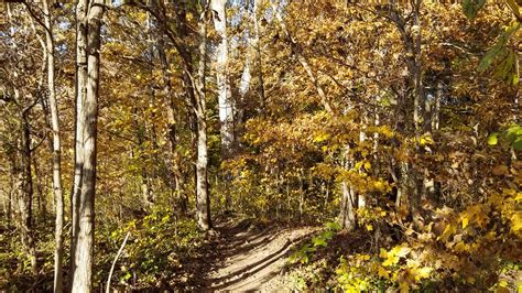 Rockbridge State Nature Preserve | Rockbridge, Ohio | Dan Keck | Flickr