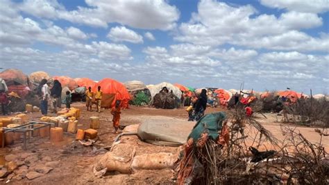 Drought Forcing New Arrivals in Somali Relief Camps to Eat Animal Skins