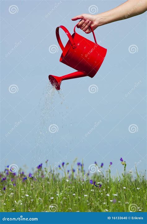 Watering the flowers stock photo. Image of green, nature - 16133640