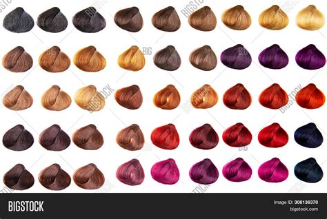 Hair Palette Dyed Image & Photo (Free Trial) | Bigstock