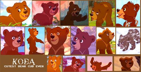 Koda From Brother Bear Collage by Scamp4553 on DeviantArt