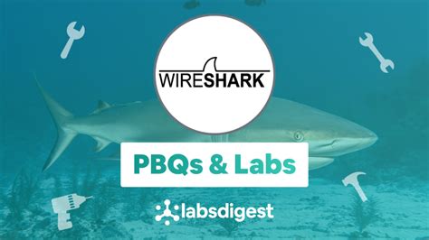 Wireshark Network Protocol Analyzer For Beginners in progress - LabsDigest Training