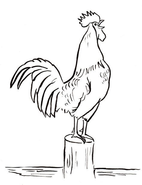 Rooster Coloring Page - Art Starts