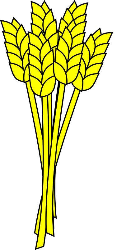 Wheat clipart. Free download transparent .PNG | Creazilla