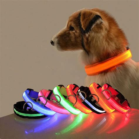 Led-Glowing-Dog-Collar-Adjustable-Flashing-Rechargea-Luminous-Collar ...