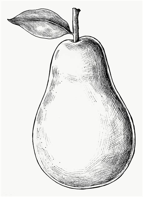 How To Draw A Pear