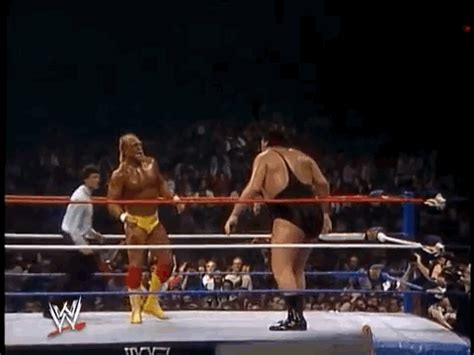 The Search For The Greatest Wrestlemania Of All-Time: Wrestlemania III ...