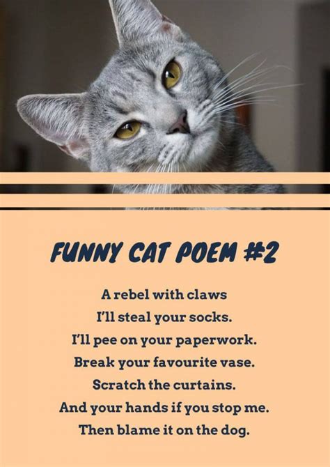 16+ Cat Poems For Kids To Read 🐈 | Imagine Forest