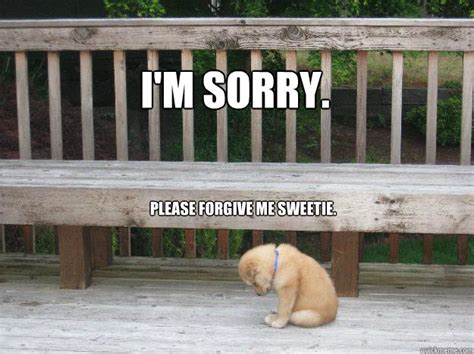 I'm sorry. Please forgive me sweetie. - Sorry - quickmeme