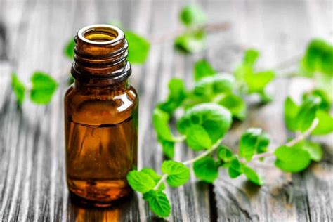 50+ Amazing Uses & Benefits of Peppermint Oil