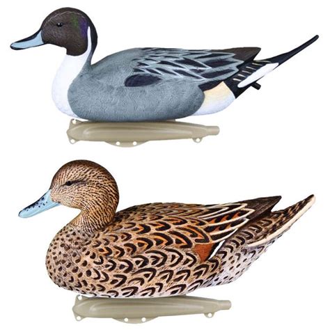 FLAMBEAU PINTAIL DUCK DECOYS PACK OF 6 - A1 Decoy