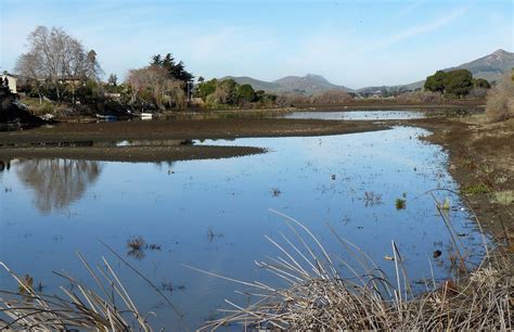 BIRDING THE CENTRAL COAST: Laguna Lake