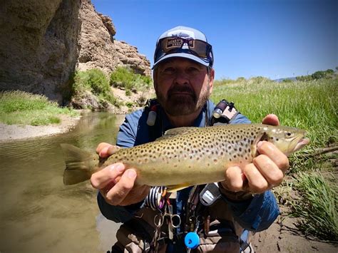 ZION NATIONAL PARK FLY FISHING GUIDES - Fremont River Guides