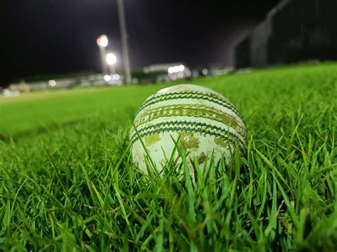 Cricket Ground at Ajman Cricket Stadium Night View Stock Photo - Image of ajman, cricket: 252841814